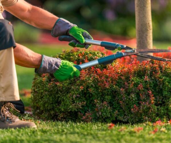 service-gardening service-gardening